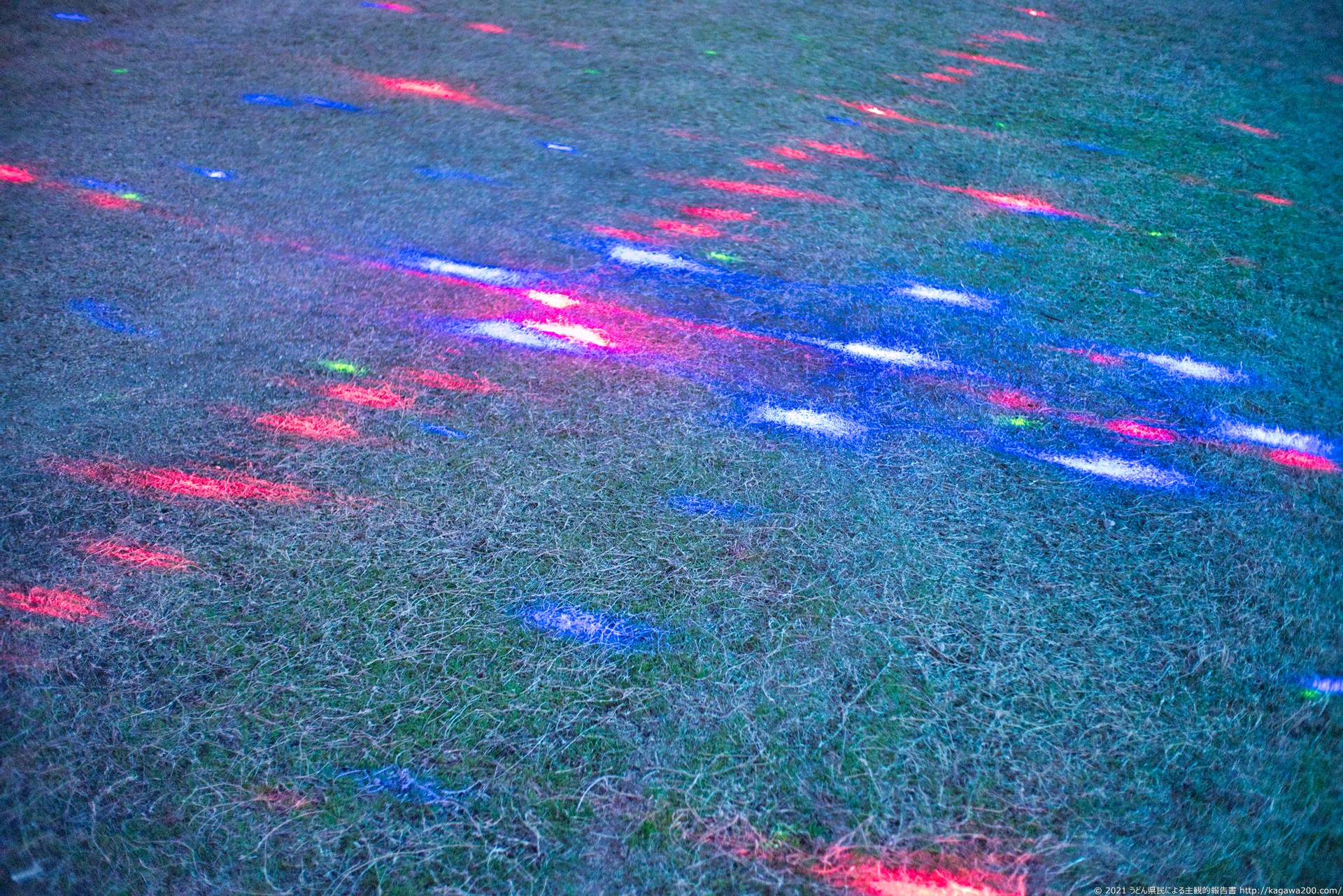 芝に照らされたイルミネーション