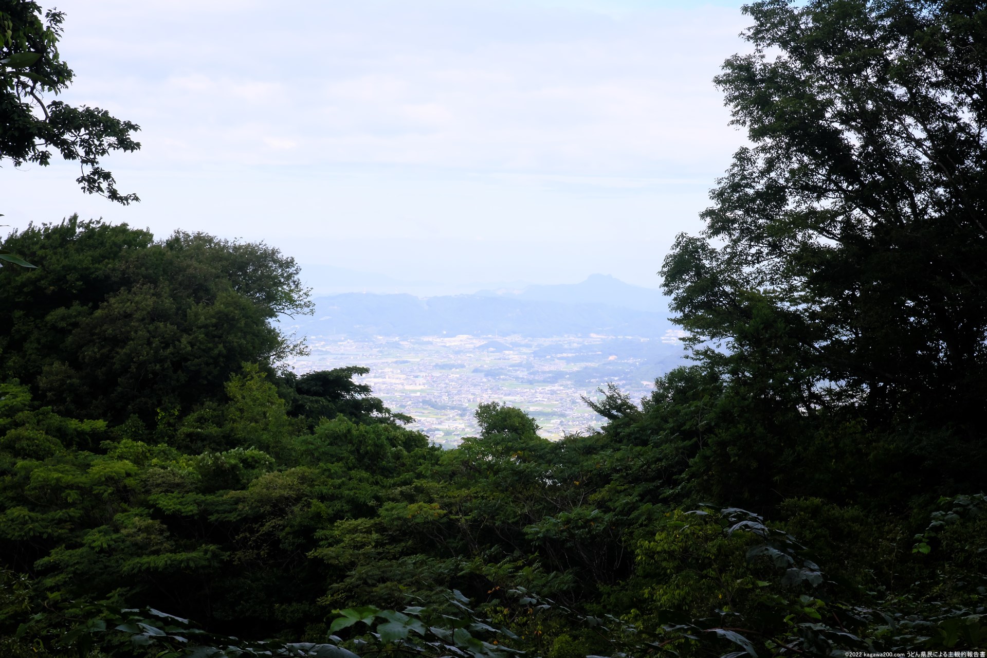 山頂公園跡地から神社へ向かう道中からの眺め